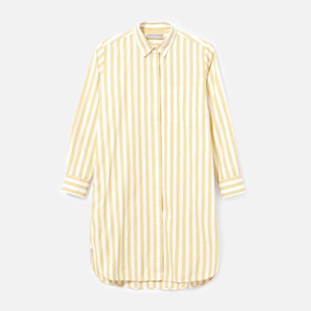 Everlane Cotton Shirt Dress